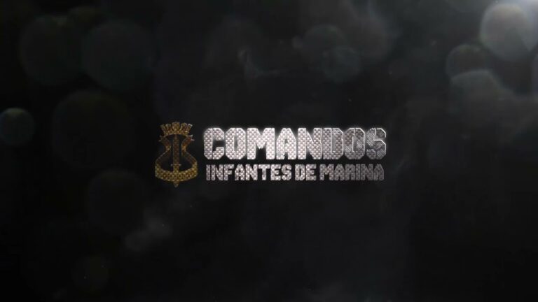 Cursos Gratuitos en la Armada de Chile: Oportunidades de Formaci&oacute;n