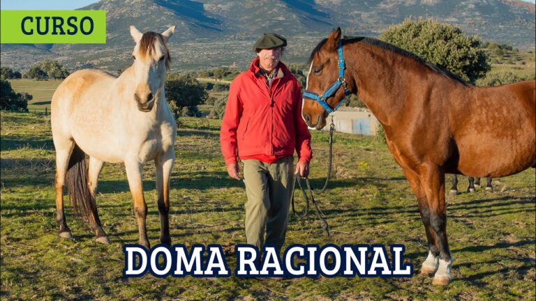 Curso de Doma Racional en Chile: Aprendizaje y Técnicas Efectivas