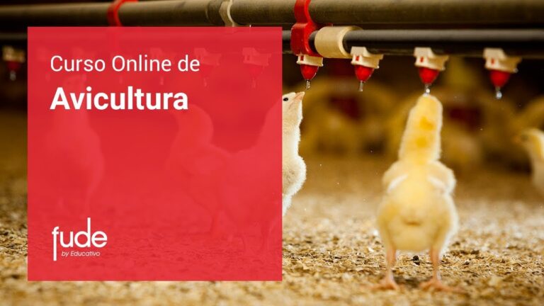 Curso de Avicultura: Formaci&oacute;n Integral en Chile
