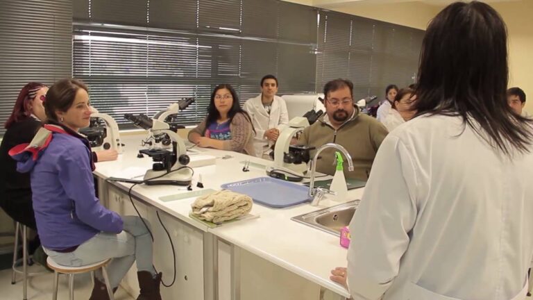 Curso de Triquinosis en Chile: Prevenci&oacute;n y Conciencia