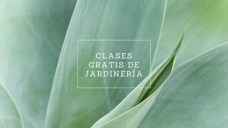 Curso de Jardiner&iacute;a Gratuito en Chile