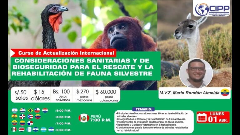 Curso de Fauna Silvestre en Chile: Conservaci&oacute;n y Biodiversidad