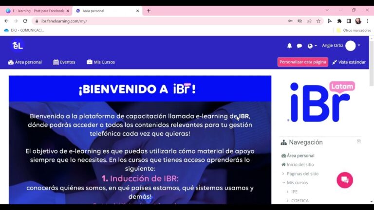 Cursos de Ergonom&iacute;a en eLearning: La Innovaci&oacute;n Universitaria en Chile