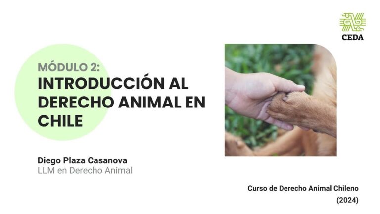 Curso de Bienestar Animal en la Universidad de Chile