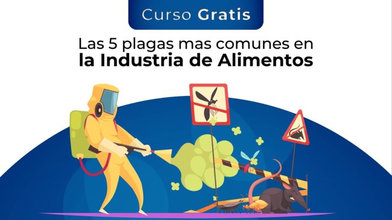Cursos de Control de Plagas Urbanas en Chile: Formaci&oacute;n Efectiva y Oportunidades