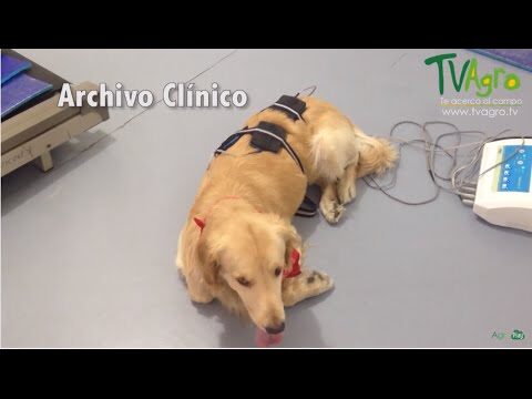 Curso de Manipulaci&oacute;n de Columna con Theraband en Chile
