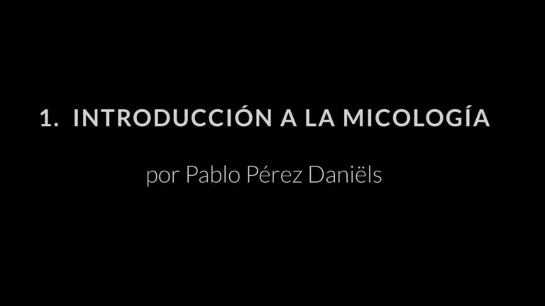 Cursos de Micolog&iacute;a Cl&iacute;nica en Chile: Formaci&oacute;n Especializada