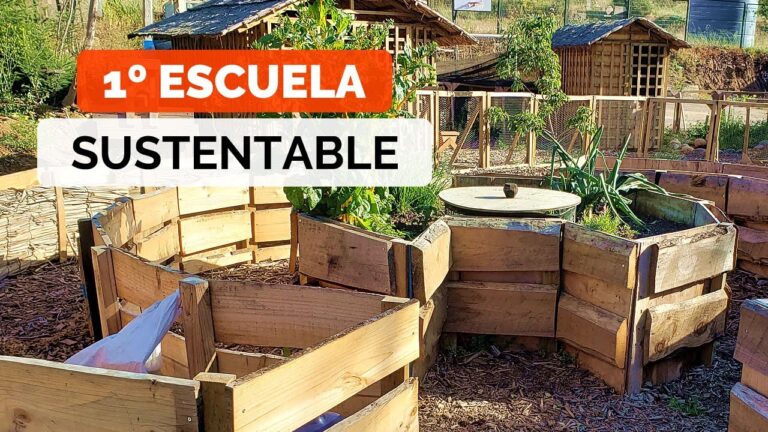 Cursos de Cocina Ecol&oacute;gica en Santiago de Chile