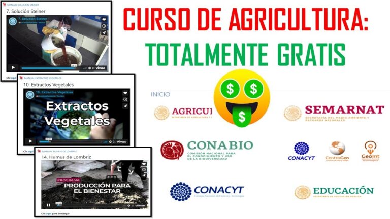 Curso Online de T&eacute;cnico Agr&iacute;cola en Chile: Potencia tu Futuro Profesional