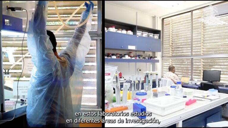 Oportunidades en Cursos de Postgrado en Qu&iacute;mica y Farmacia en la Universidad de Chile