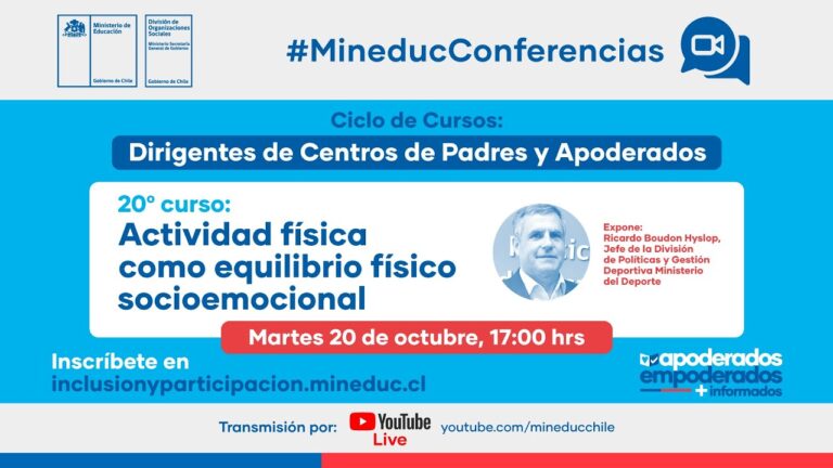 Relaci&oacute;n entre Cursos y Edad en Colegios de Chile