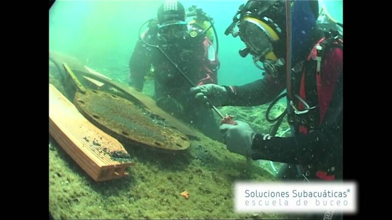 Mejores Cursos de Buceo Profesional en Chile