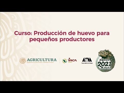 Diplomados y Cursos Presenciales de Nutrici&oacute;n en Santiago de Chile