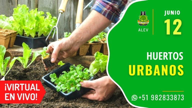 Guía Práctica de Cursos de Huertos Urbanos en Santiago de Chile