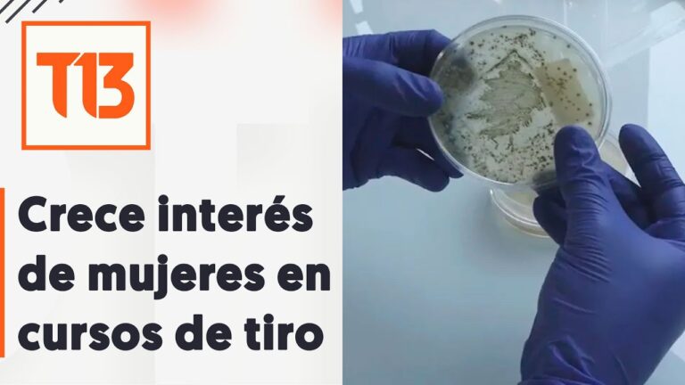 Gu&iacute;a Completa sobre Cursos de Tiro y Autorizaci&oacute;n para Tener Arma en Chile