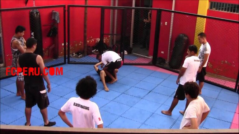 Mejores Cursos de Artes Marciales Mixtas en Chile