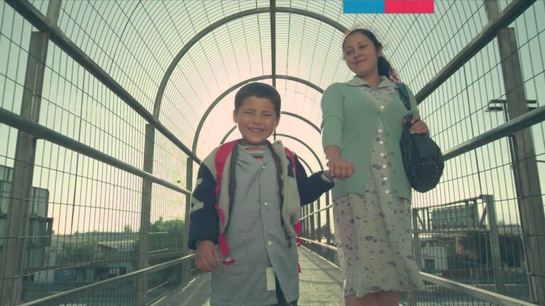 Mejores Cursos de Pre B&aacute;sica en Chile
