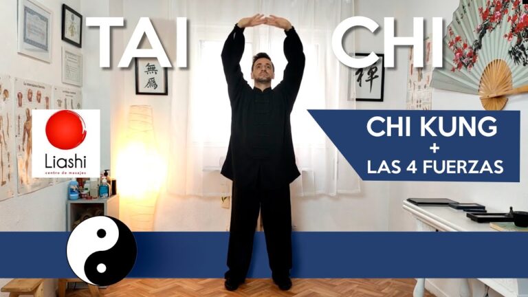 Cursos de Tai Chi en Santiago de Chile: Aprendizaje y Bienestar