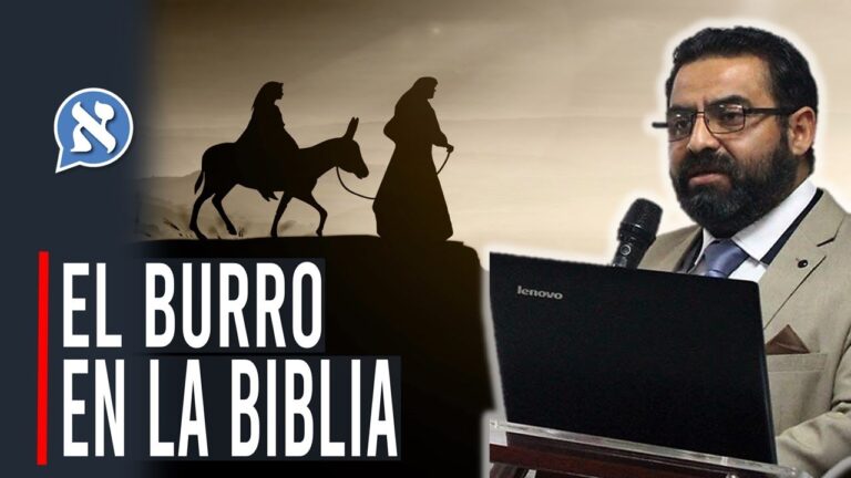 Costo de Cursos de Registros de Dios en Santiago, Chile