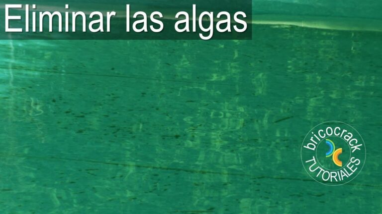 Cursos de Nataci&oacute;n en Chile: Mejora tus Habilidades Acu&aacute;ticas