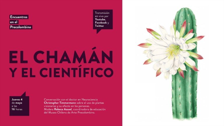 Descubre los Mejores Cursos Chamanicos en Chile