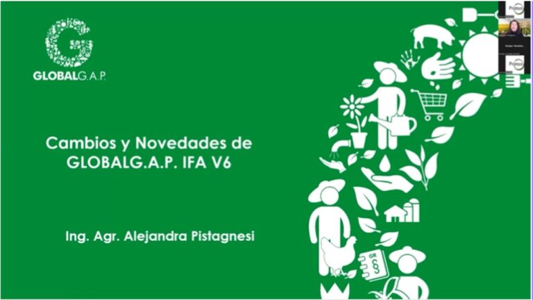 Cursos Primus Chile: Transformando la Educación en Línea