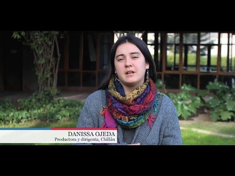 Investigaciones sobre el curso en Puerto Montt, Chile