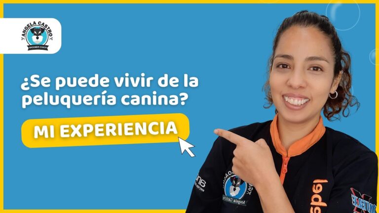 Curso de Grooming para Mascotas en Chile