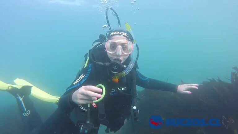 Costo del Curso Open Water Diver en Chile