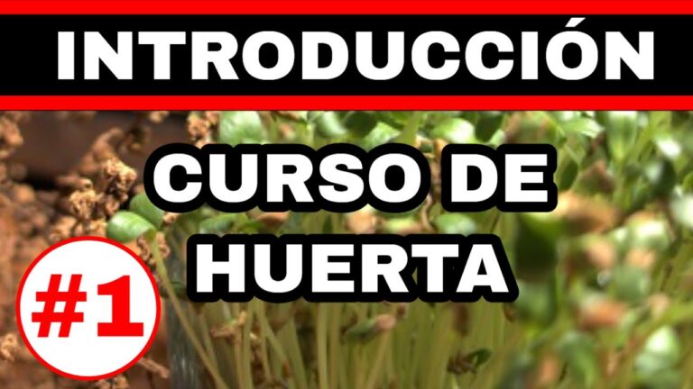 Cursos de Huerta: Cultivando Sabores en Chile