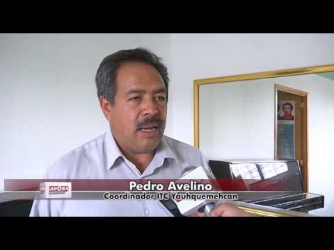 Cursos de Bons&aacute;i en Santiago Poniente, Chile