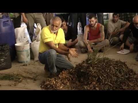 Curso In Situ de Lombricultura en Chile: Transformando el Suelo y la Agricultura