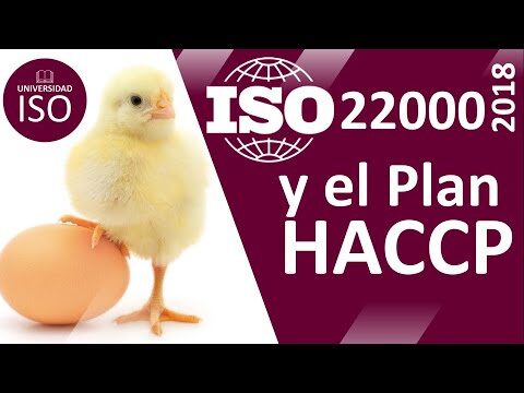 Curso ISO 22000 en Chile: Mejora la Seguridad Alimentaria