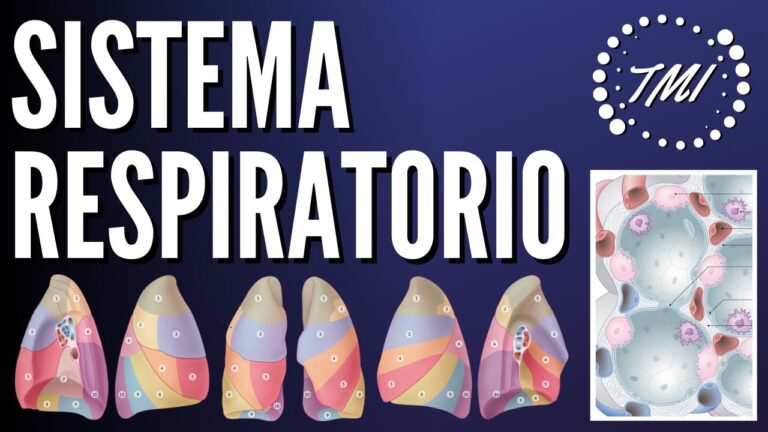 Curso de Fisiología Respiratoria en Chile: Mejora tu Conocimiento Profesional