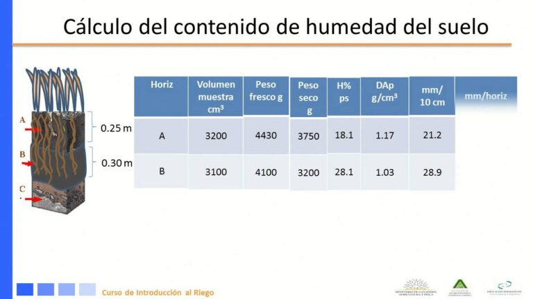 Optimizaci&oacute;n del Drenaje Agr&iacute;cola: Curso en la Universidad de Chile y su Horario