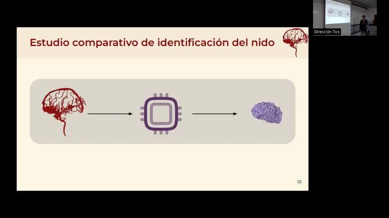 Cursos Gratis de Jos&eacute; Massa en la Universidad de Chile