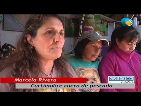 Cursos de Curtiembre de Cuero de Pescado en Chile: Aprende y Crea