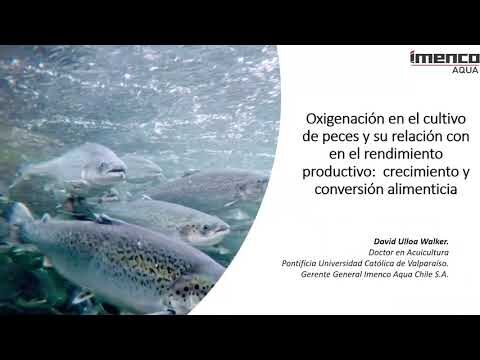 Cursos de Acuicultura para Peces en Chile