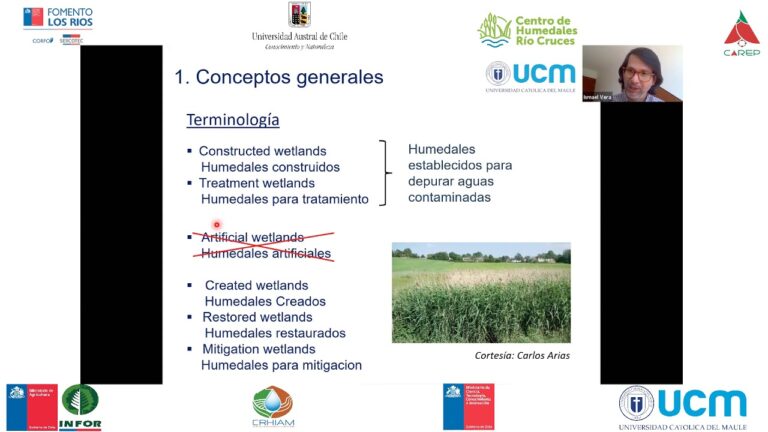 Curso de Reciclaje Estatal en Chile: Oportunidades y Beneficios