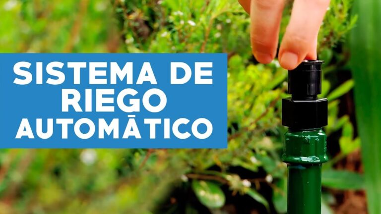 Optimizaci&oacute;n de Cursos de Ema y Riego en Chile