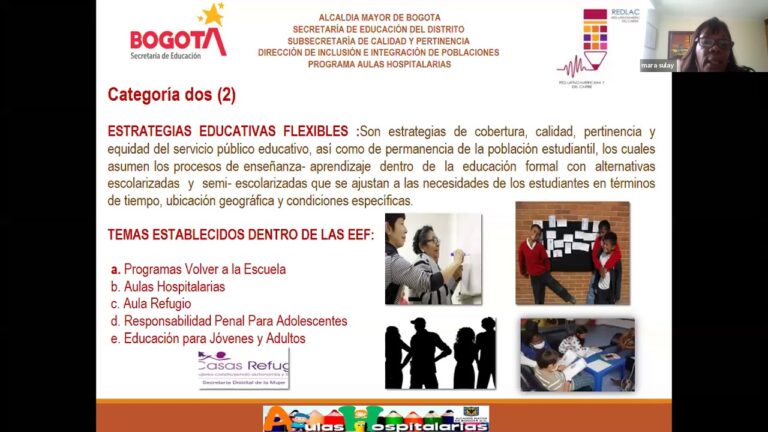 Cursos de Pedagog&iacute;a Hospitalaria en Chile: Formaci&oacute;n y Oportunidades