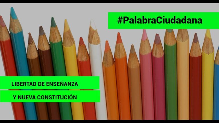 Herramientas Pr&aacute;cticas del Curso de Constituci&oacute;n en la U. Chile