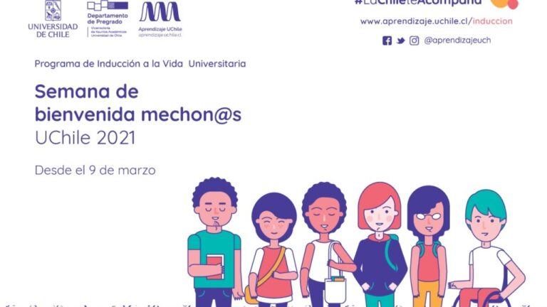 Programas de Pregrado en Historia en la Universidad de Chile