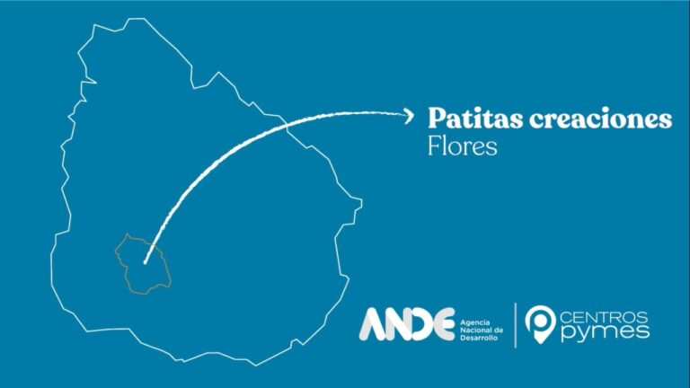 Gu&iacute;a Completa de Cursos de Drapeado y Capitone en Chile