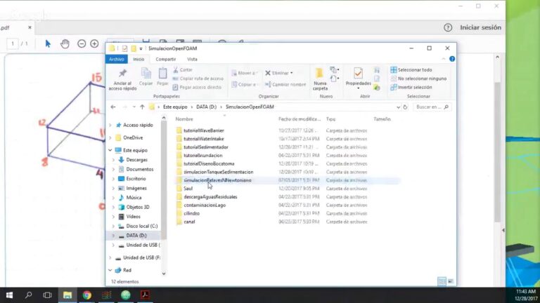 Curso de OpenFOAM en Chile: Aprendizaje y Aplicaciones