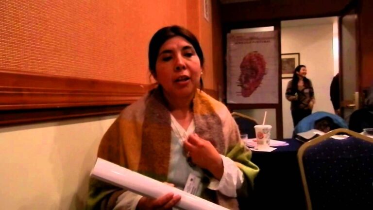 Cursos de EMDR en Santiago de Chile: Transformaci&oacute;n y Sanaci&oacute;n Personal