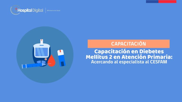 Impulsa tu Futuro: Cursos de Chile Crece Contigo