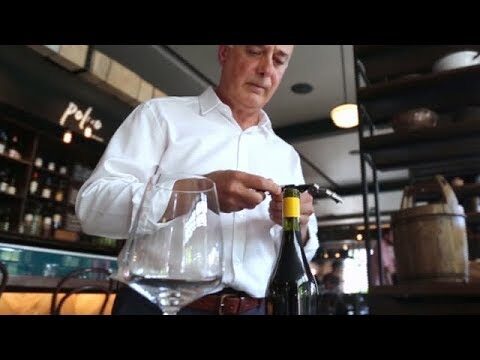 Curso de Sommelier en Chile: Descubre el Arte del Vino