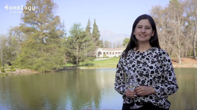 La Vendimia en Chile: Cursos y Experiencias Inolvidables