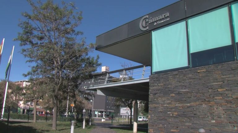 Cursos de la C&aacute;mara de Comercio en Chile: Oportunidades de Crecimiento Profesional